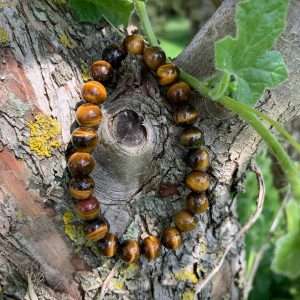 Bracelet Oeil de Tigre perles rondes 10mm