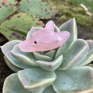 Pendentif sculpté "Tête de loup" en quartz rose